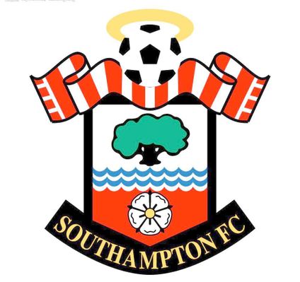 这种新发现 这种新发现